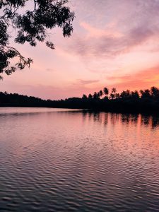 Sunset, reflected on water in the foreground. The horizon has the silhouette of palm trees.