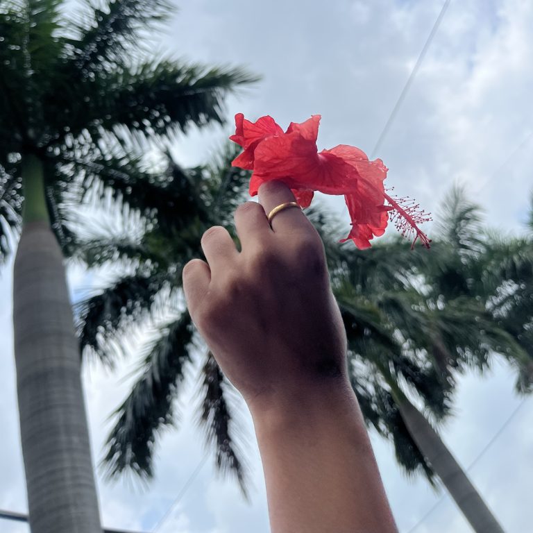 A hand wearing a gold ring holds a red flower up to the sky.
– WCBHOPAL