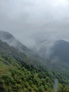 The mist between mountains covered in jungle.  A narrow bit of road seen in the foreground.
