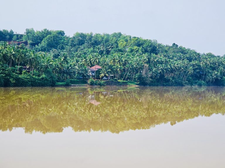 Shadows in the mud water of Chaliyar river after heavy rains. From Perumanna, Kozhikode, Kerala.