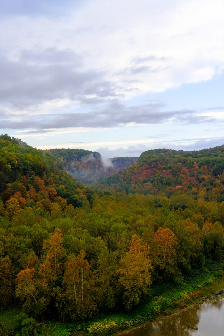 Autumn leaves changing color in Letchworth State Park, New York (USA).