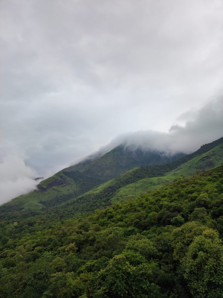 The Enchanted Hills of Wayanad
The Bana hills of Wayanad are a place of magic and enchantment. The hills are covered in lush green forests, where ancient trees and exotic plants thrive. Waterfalls cascade down the hillsides, their waters sparkling in the sunlight. Streams meander through the valleys, their songs filling the air.
#WPPhotoFestival