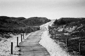 Black and white view of a path between the dunes leading to the beach.

