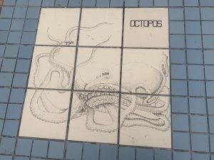 View larger photo: 千葉県　東浪見海水浴のタイルにタコの絵　/　Picture of an octopus on tile at Higashinami swimming beach, Chiba, Japan