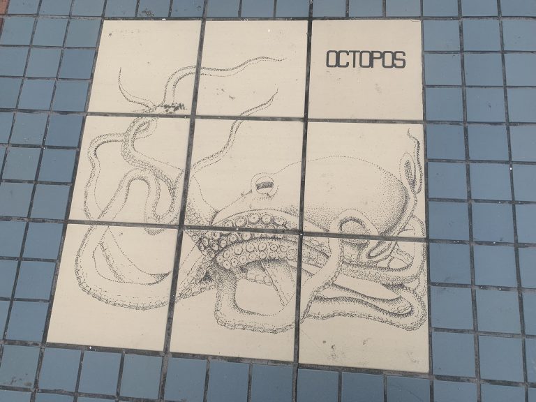 千葉県　東浪見海水浴のタイルにタコの絵　/　Picture of an octopus on tile at Higashinami swimming beach, Chiba, Japan