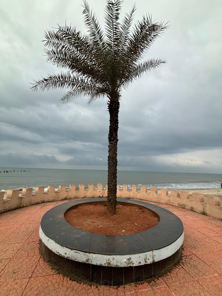 A tree in the Kozhikode beach surrounded by a concrete wall. Also, the sky is dark and about to rain. Some of the birds are floating in the sea water.