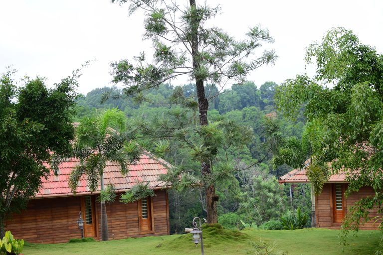 Villas in forest