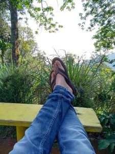 Someone’s legs wearing blue jeans and sandals, propped up on a yellow branch. Trees and grass are in the background.
