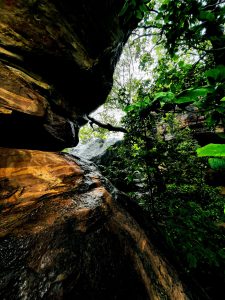 The breathtaking scene of the rain-soaked rocks and foliage. #WCBhopal