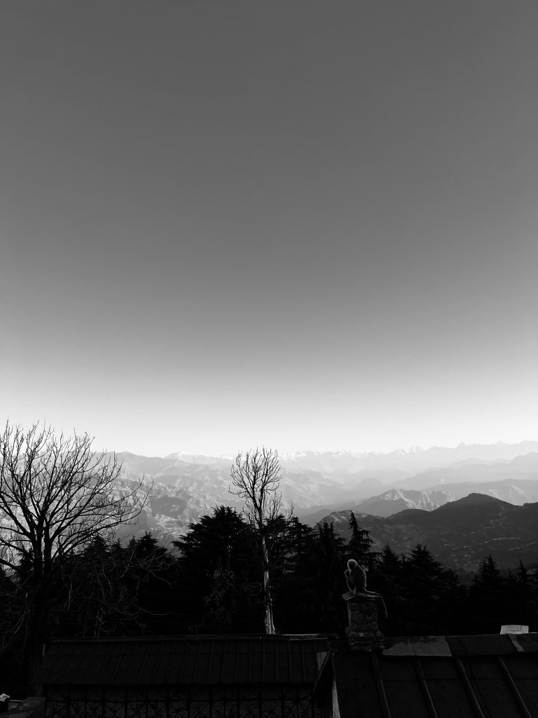 Evening at Himalayas. A monkey is sitting on a rooftop and in the background there are Himalayan mountain ranges and trees.