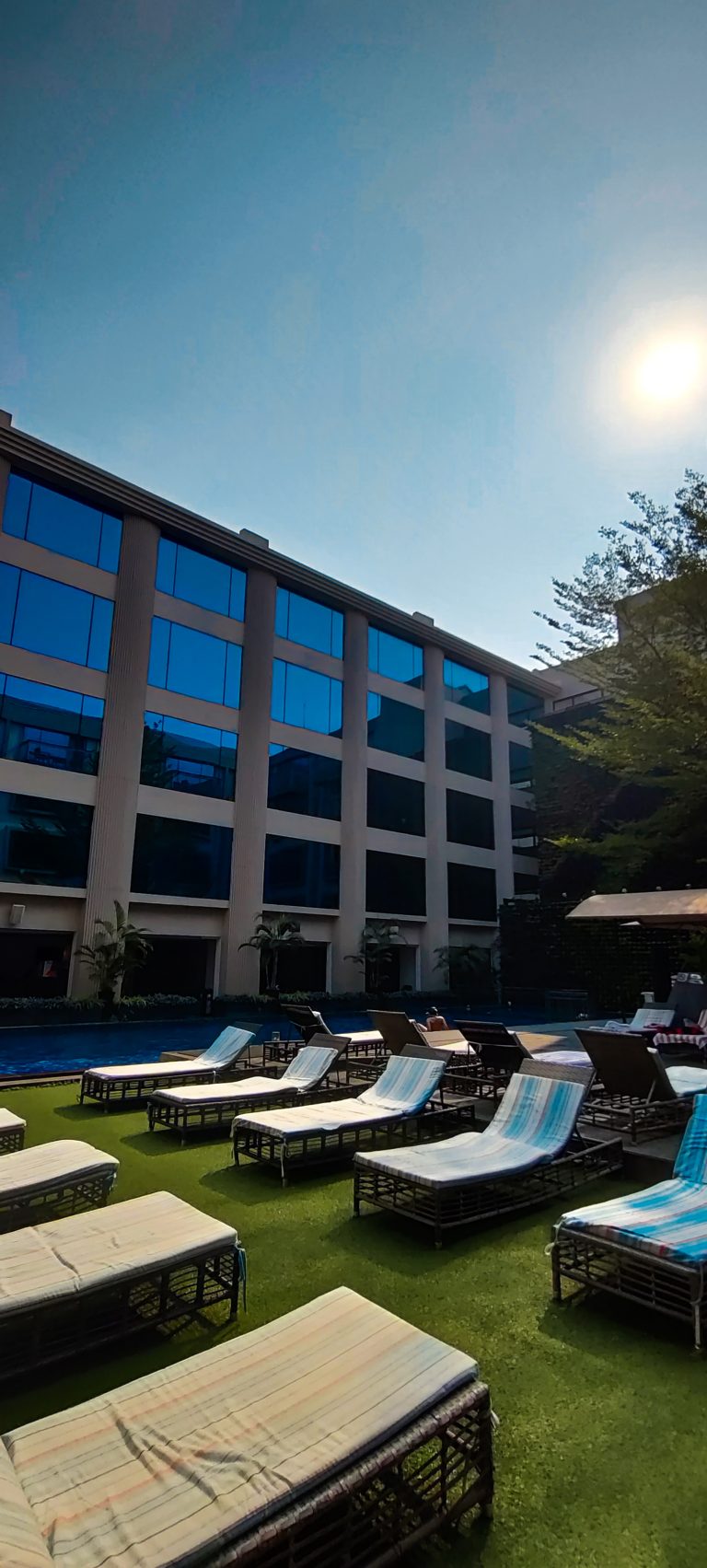 Lounge chairs lined up on the lawn by a pool and high rise.