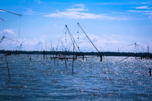 Fort kochi - water and fishing nets