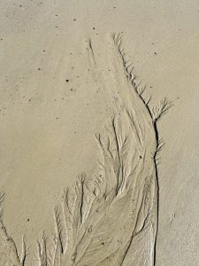 Rill marks in sand