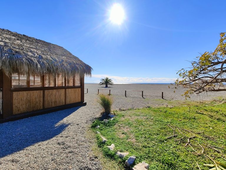 A thatched-roof structure with bamboo walls stands next to a gravel path. There’s a tree with fallen branches nearby. In the distance is a sandy beach, a barrier, and the sea under a clear sky with the sun shining.