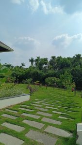 Garden featuring a stone stepping pathway, dense palm trees, and a backdrop of a partly cloudy sky