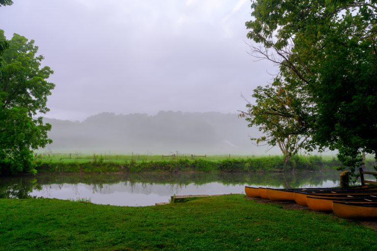 Canoes on a river bank