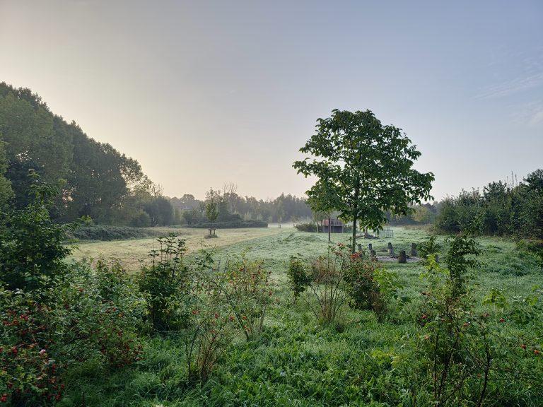 Local park early in the morning with some dawn.