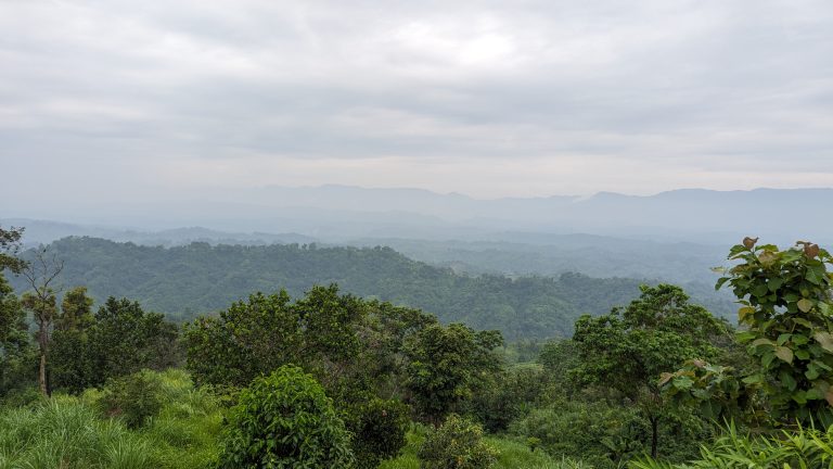 View with lush green trees on top of a mountain and fog in the distance.