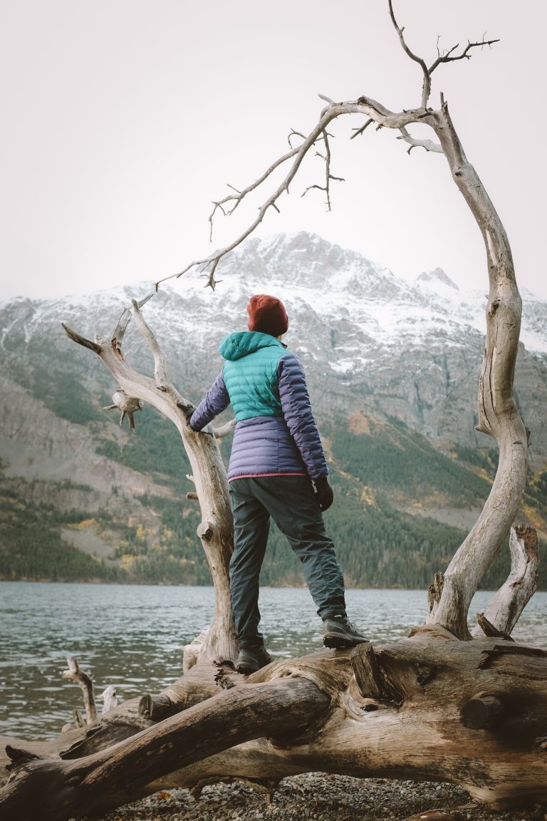 Person in winter hiking gear standing on a white log with long, dynamic branches curling around them looking out on a view of a lake and snowy mountain.