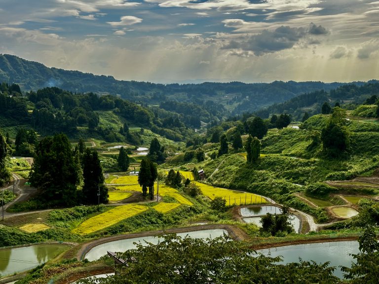 Vibrant landscape of multiple shades of greens with mountains gracing the horizon. Niigata prefecture in Japan has towns devoted to harvesting koi carp and several ponds where this beautiful fish grow can be seen here, reflecting the blue skies.