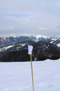 A glove atop a bamboo walking stick rising from the snow in the Himalayas