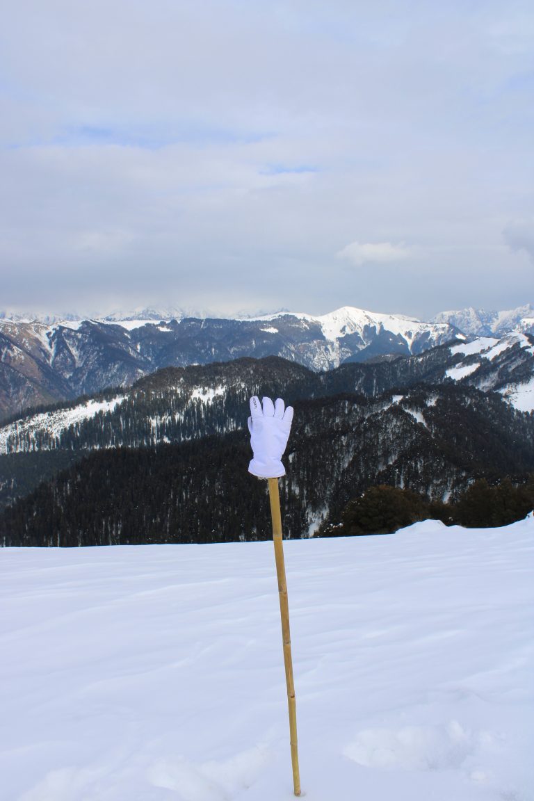 A glove atop a bamboo walking stick rising from the snow in the Himalayas