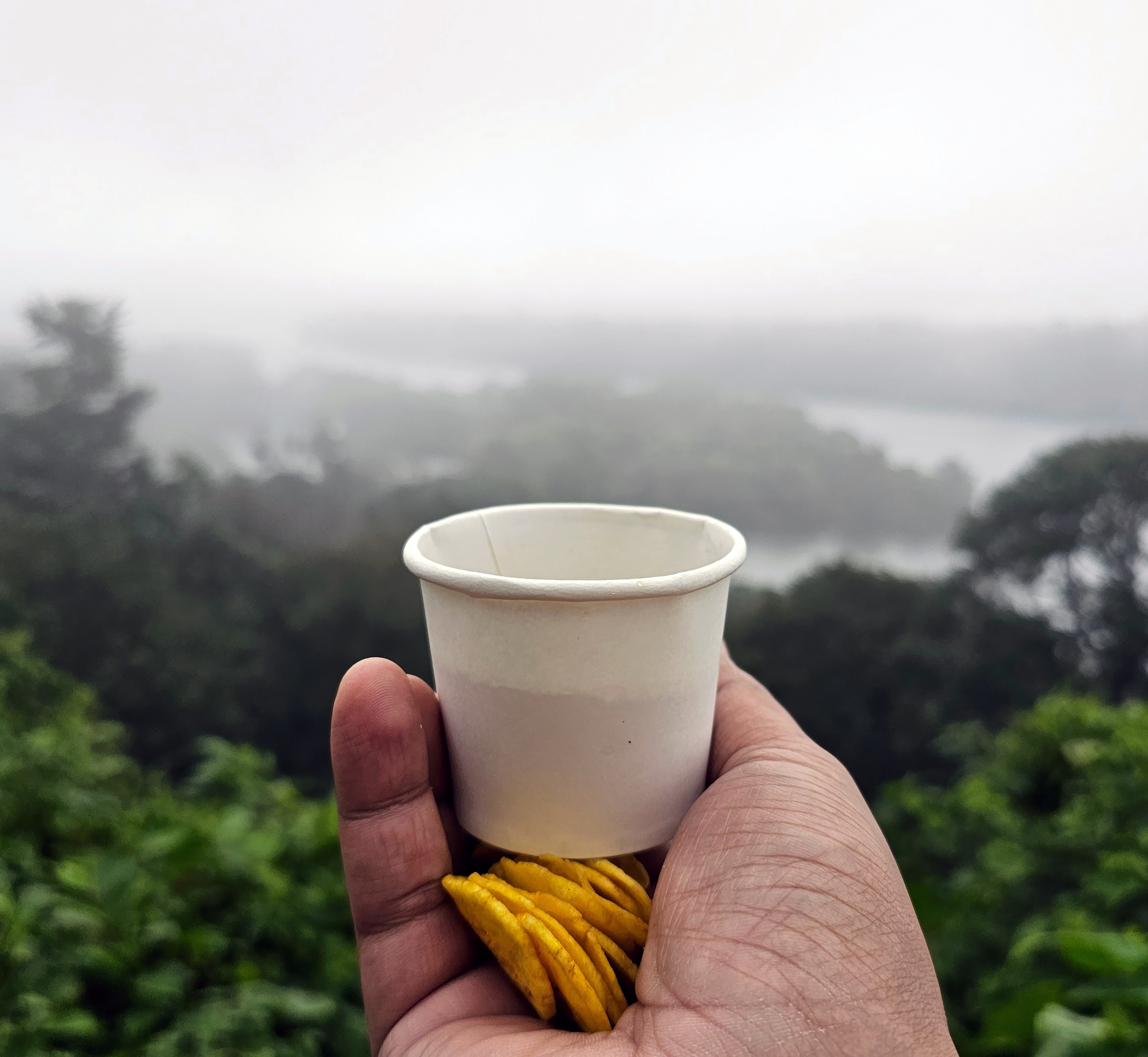 A hand holding a cup of coffee and banana chips on a foggy morning in front of a reservoir (Sholayar Reserve Forest, Kerala). 