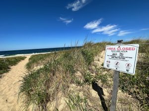 Beach At Cape Cod, USA an information sign advises the area is closed to protect rare birds, their nests and eggs. 

