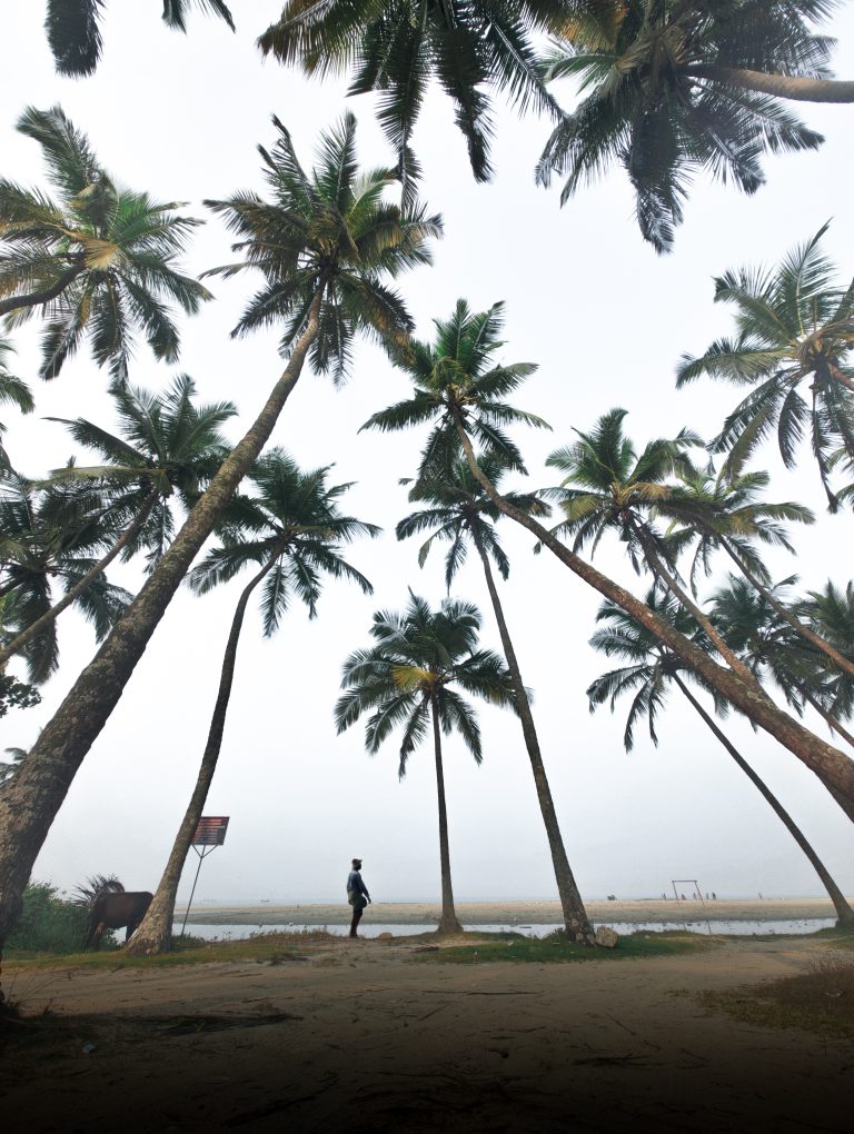 Person standing near tall palm trees on a misty beach
#WPPhotoFestival