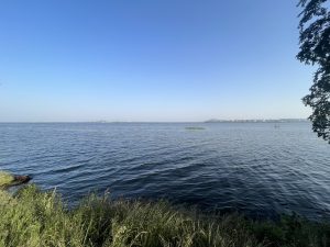 Lake View during the openverse walk at Wordcamp Bhopal.
