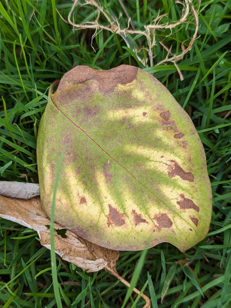 9176525f5a WordPress Photo WordPress Photo Directory 9176525f5a-wordpress-photo-wordpress-photo-directory