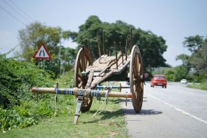 A means of transportation in India, Nepal, Bangladesh and Pakistan. It will be plowing with Oxen and the vehicle and people carry different goods in it.