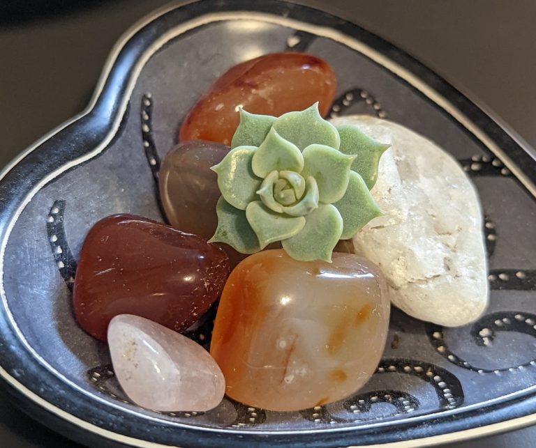 The rosetta of a succulent laying on some small and shiny rocks in a heart-shapped dish