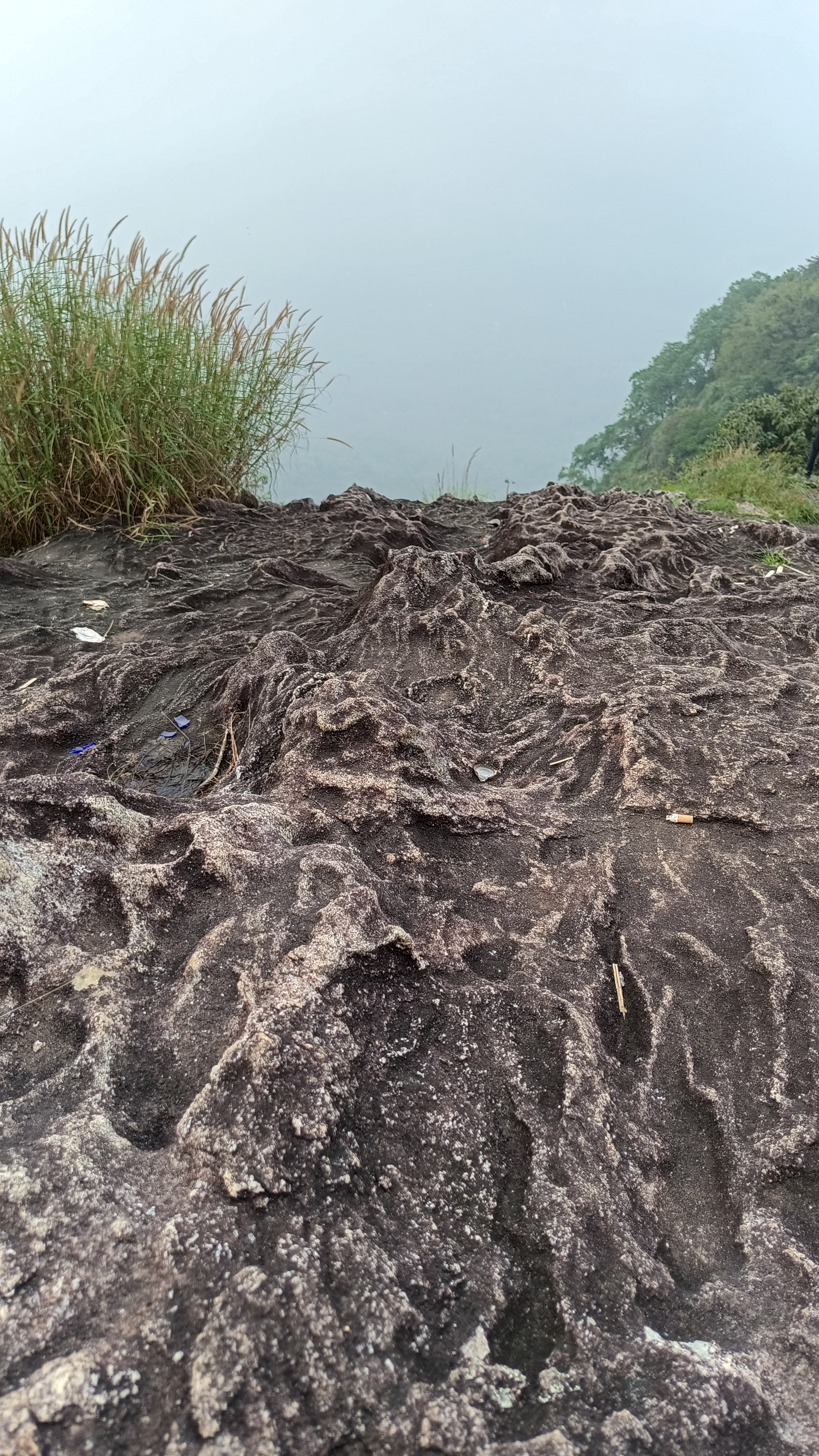 Rock layer structure with some Flower of grass (commonly known as Feather Grass Scientifically known as Pennisetum polystachyon) on the edge of the photo #mountain,#rock,#travel