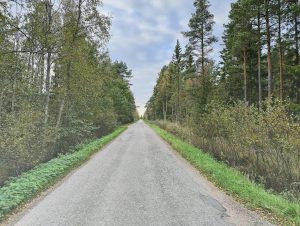 A serene country road stretches straight ahead.