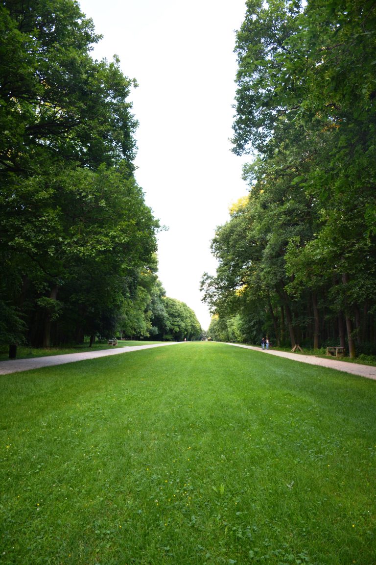 A lawn resembles a green carpet. Near to Star Summer Palace,