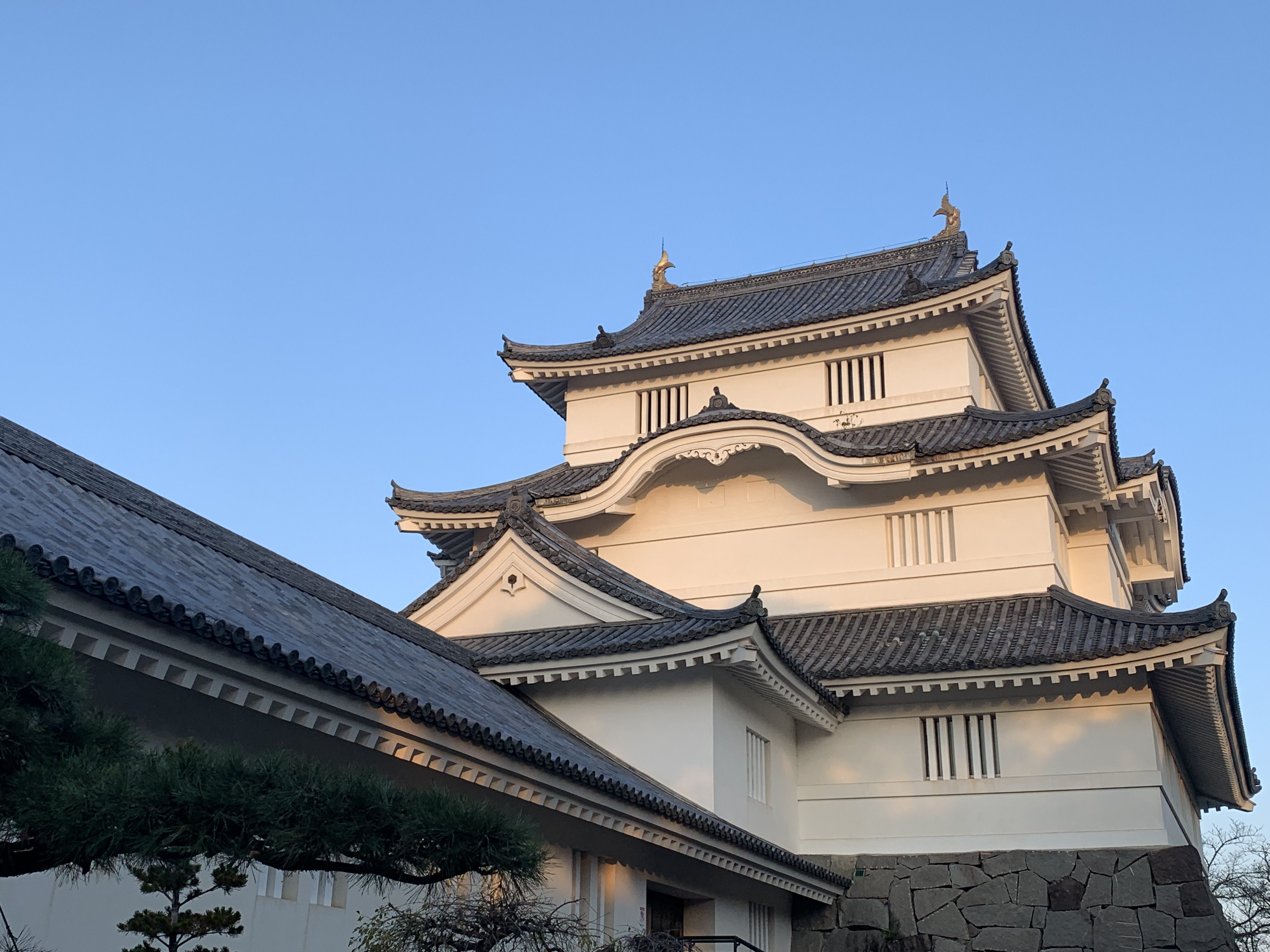 夕日に映える大多喜城 / Otaki Castle at sunset
