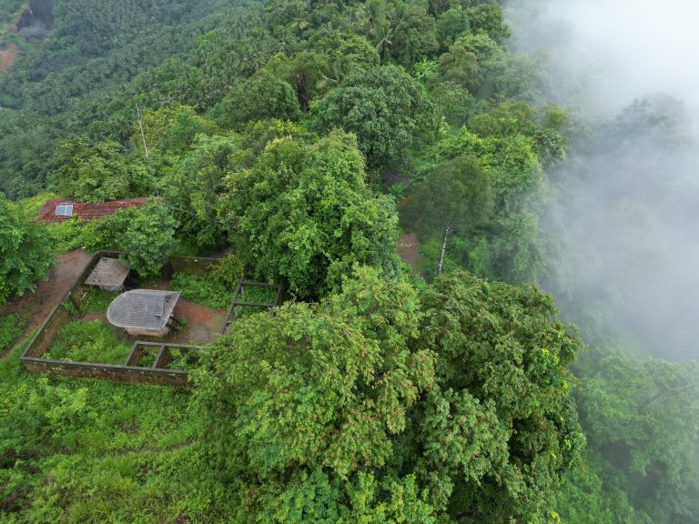 Temple inside forest