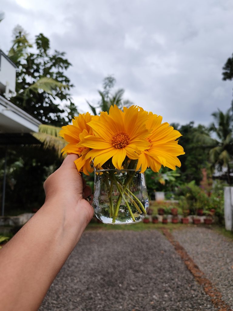 Yellow flowers in a glass pot