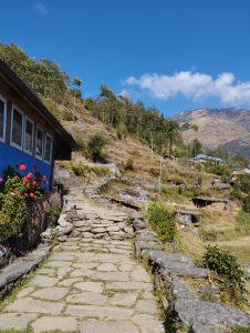 Trekking pathway to mardi himal.