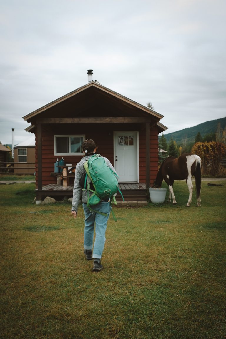 Person walking with a green backpack towards a small wooden cabin with a brown and white horse grazing next to it.