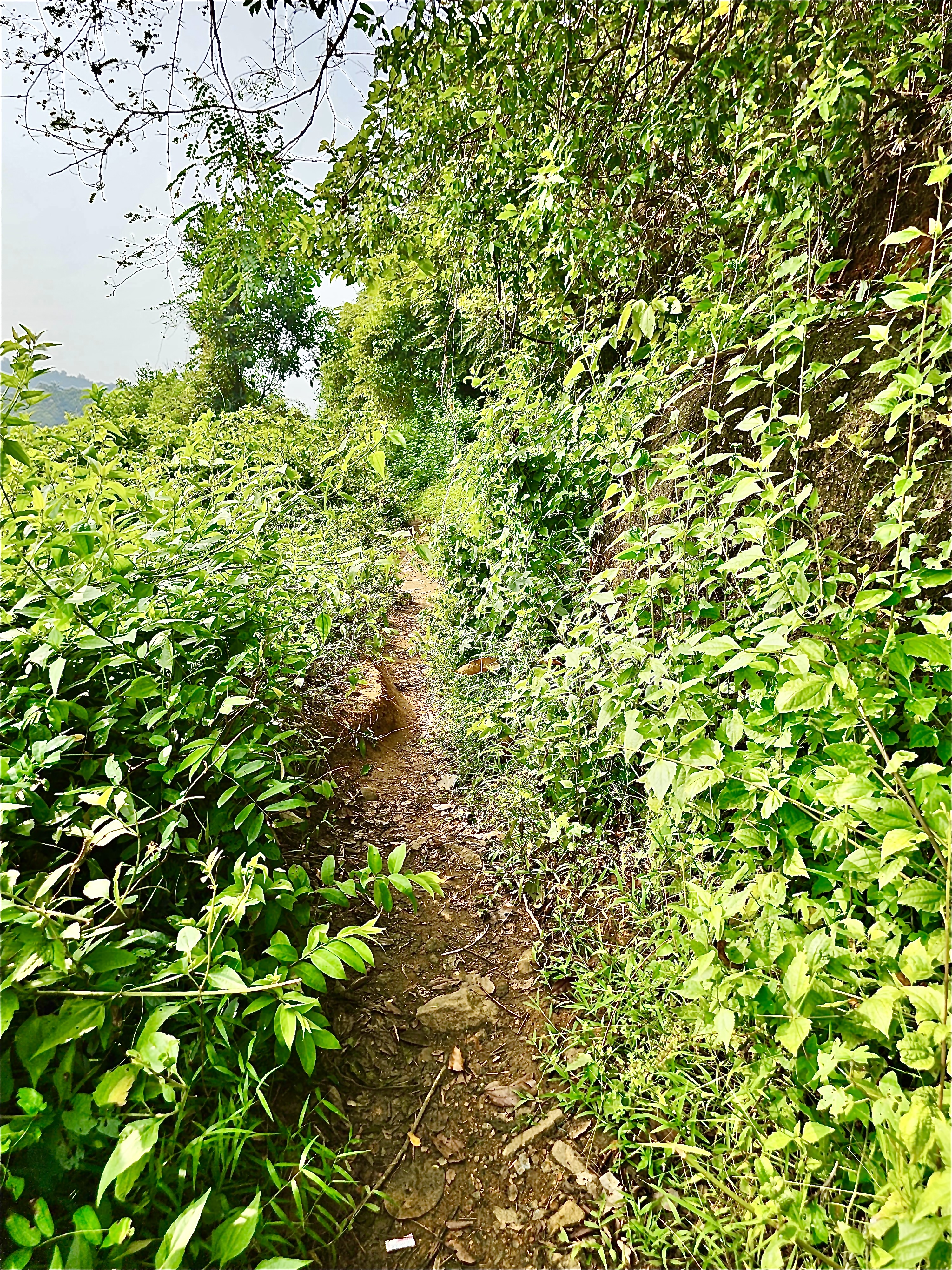 A village road, Oorkkadavu, Kozhikode 