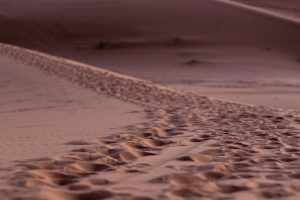 footprints in the desert
