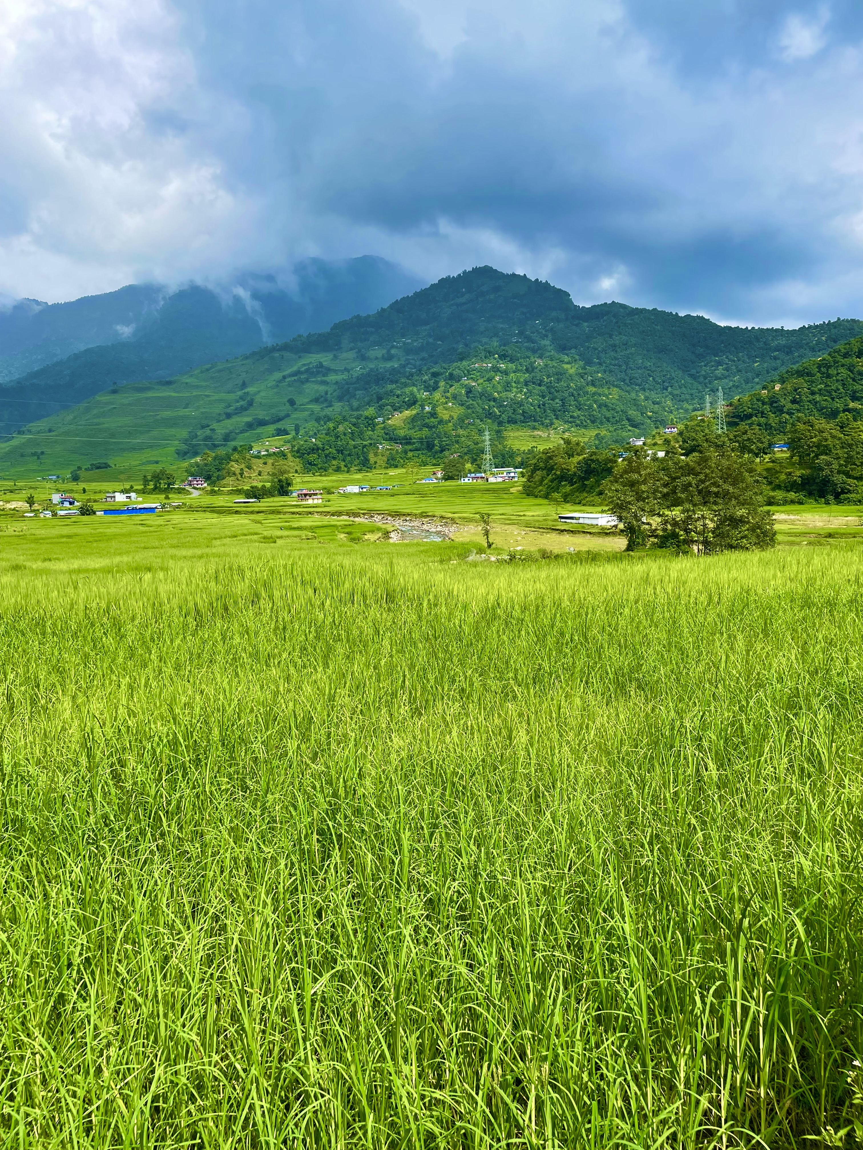 Scenic paddy fields and a sweeping vista of distant hills, captured from Pokhara, Nepal.