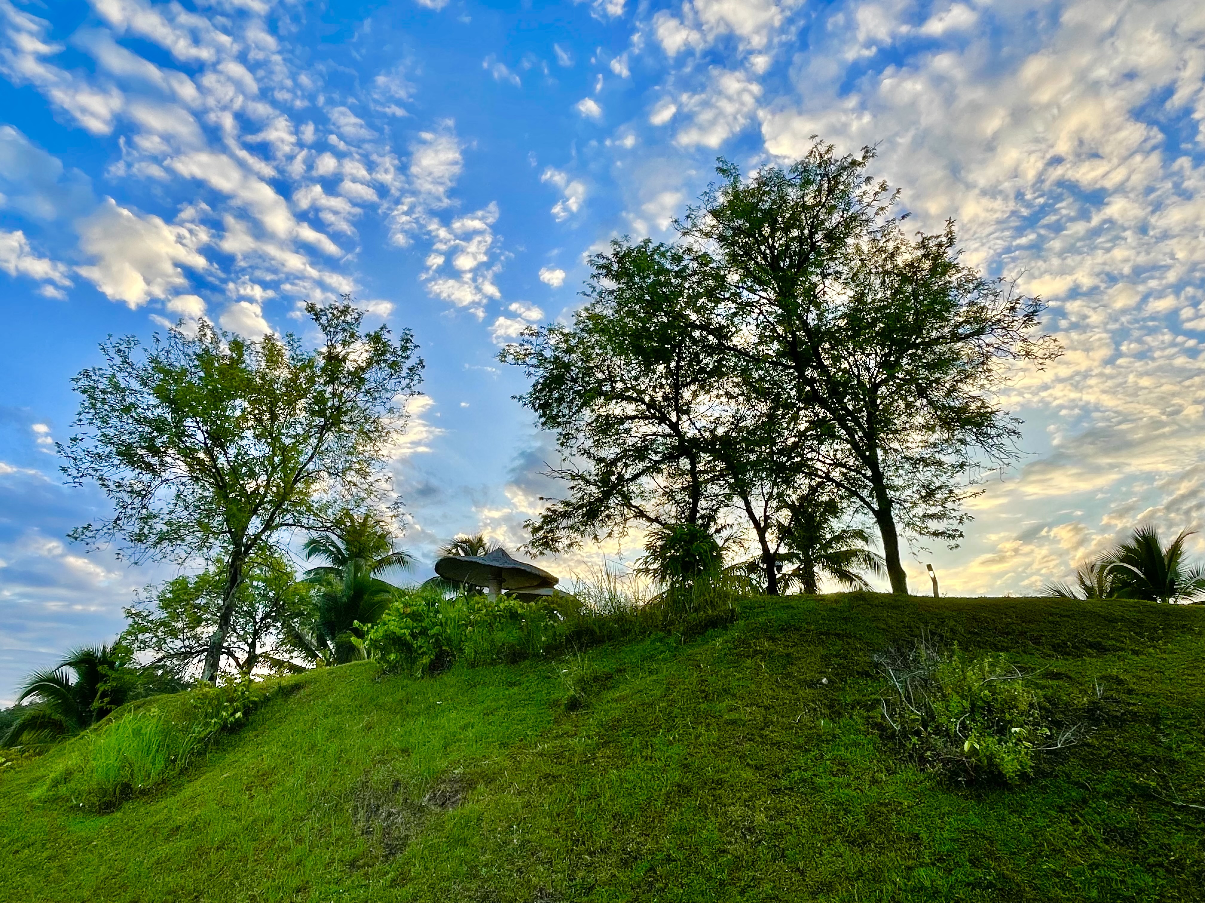 An early morning shot from Titiwangsa Lake Park, Kuala Lumpur, Malaysia.