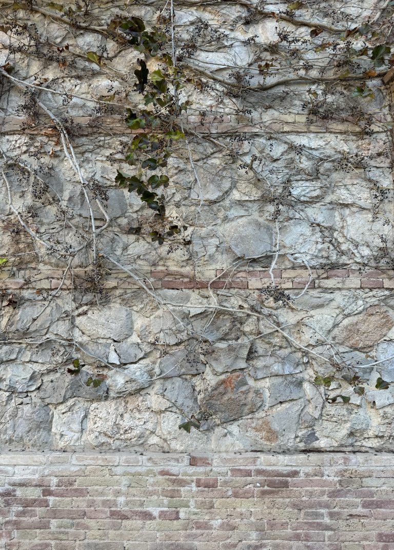 A stone and brick wall with ivy