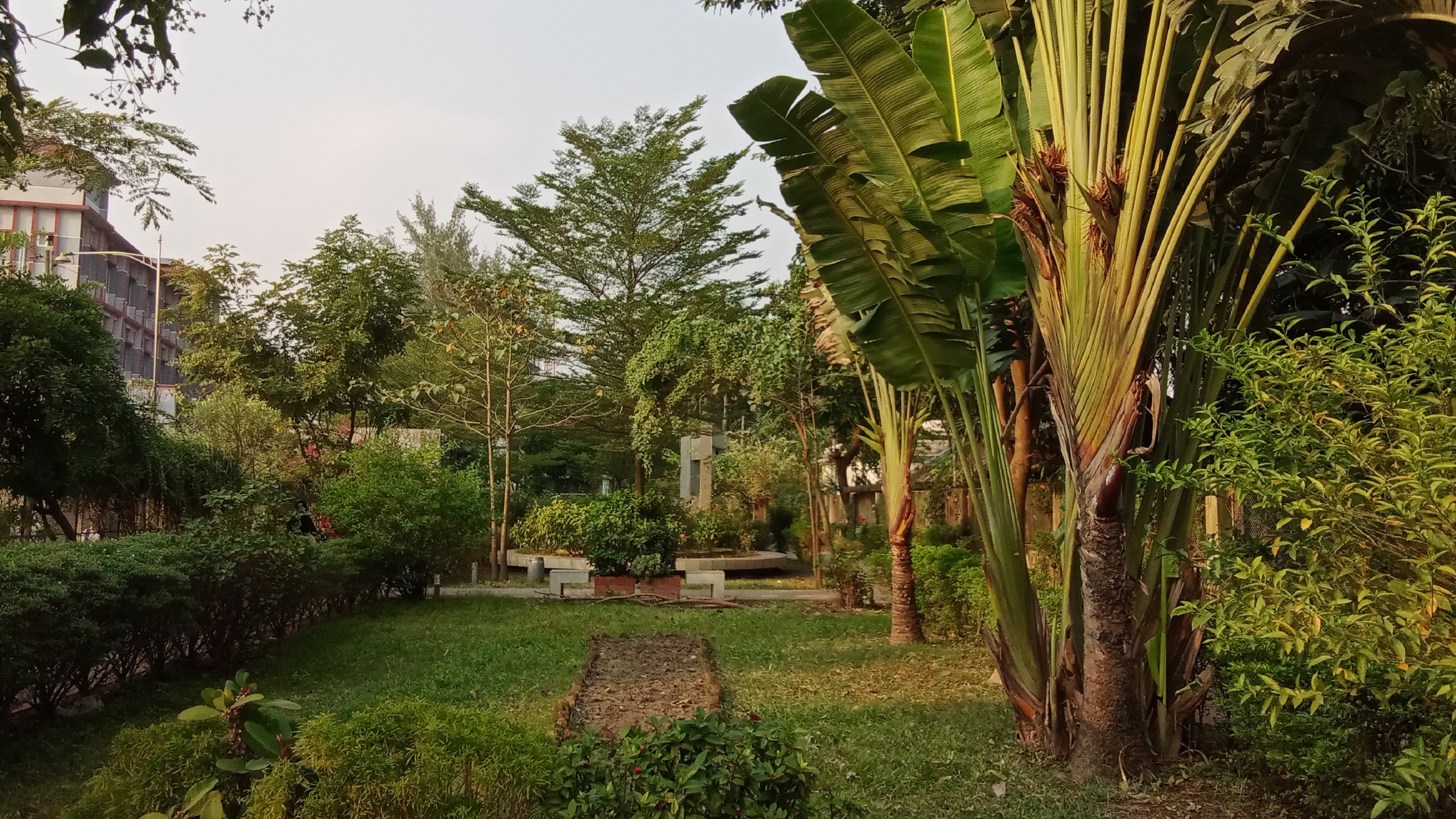 Munshiganj Dc Park. DC park is located at the heart of Munshiganj town.