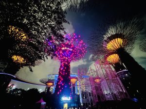 Colorful tree like structure in Singapore. It is one of the popular tourist destinations in Singapore.