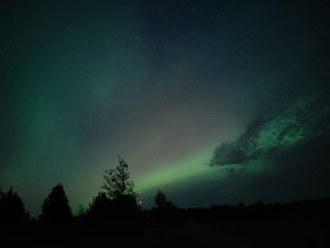 The night sky is illuminated with the Northern Lights, casting a radiant green glow interspersed with deep blues. Stars twinkle amidst the aurora's dance. Silhouetted trees stand at the bottom, and a distant red light glimmers near the horizon.