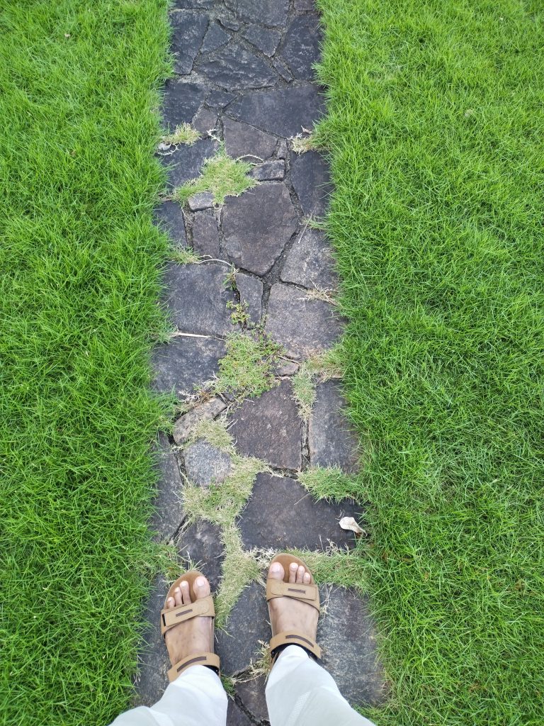 Stone pathway with grass on both sides